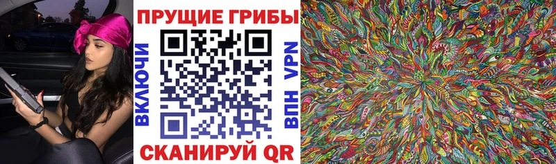 Купить закладки  Дюртюли  Галлюциногенные грибы мицелий 